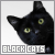 Black cat fanlisting
