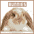 Bunnies fanlisting