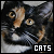 Cats and kittens fanlisting