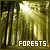 Forests fanlisting