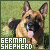 German Shepherd fanlisting